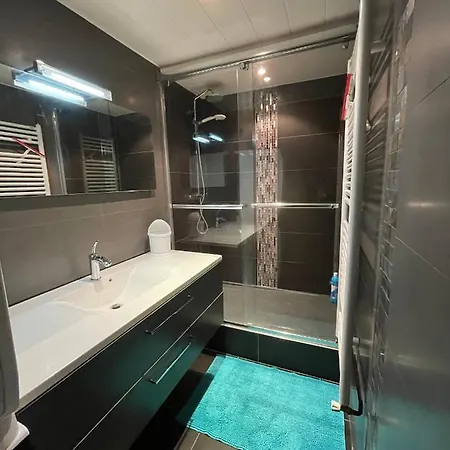 Galerie Roche Beranger « le Doux Chalet » Apartment Chamrousse